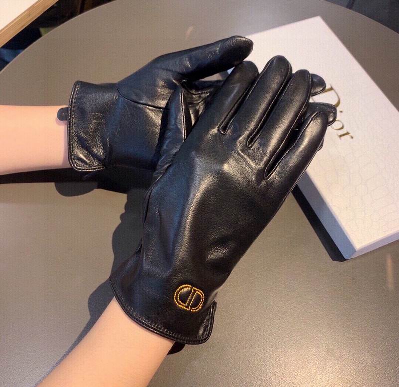 Dior gloves hm12